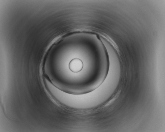 X0000114490893200910191228