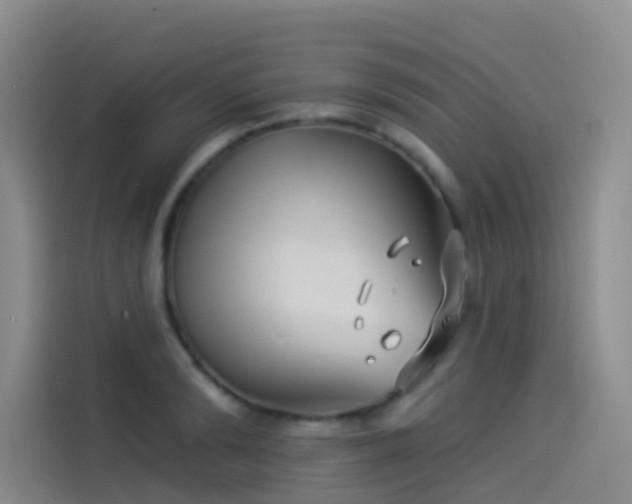 X0000114490894200910191228