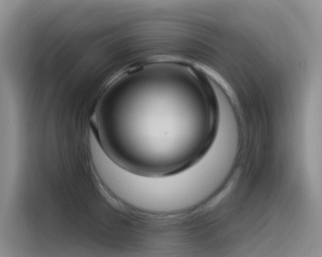 X0000114490897200910191228