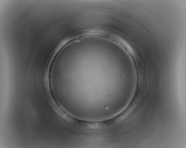 X0000114490899200910191228