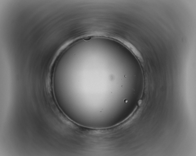 X0000114490904200910191228