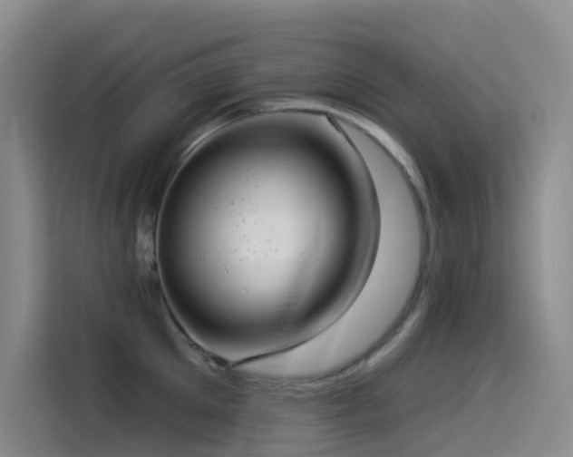 X0000114490905200910191228