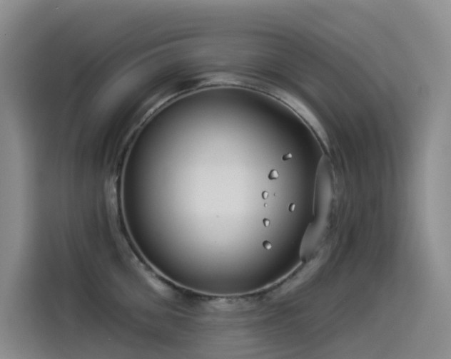 X0000114490906200910191228