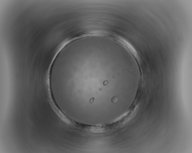 X0000114490907200910191228