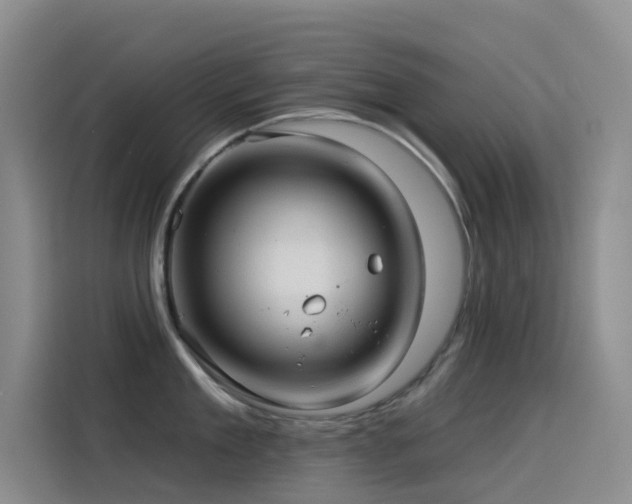 X0000114490909200910191228