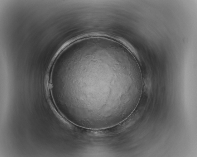 X0000114490911200910191228