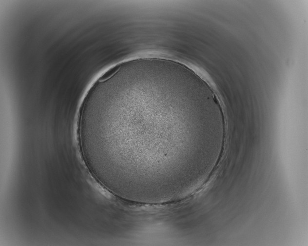 X0000114490912200910191228