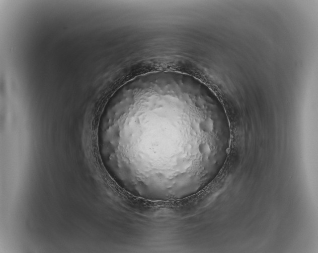 X0000114490913200910191228