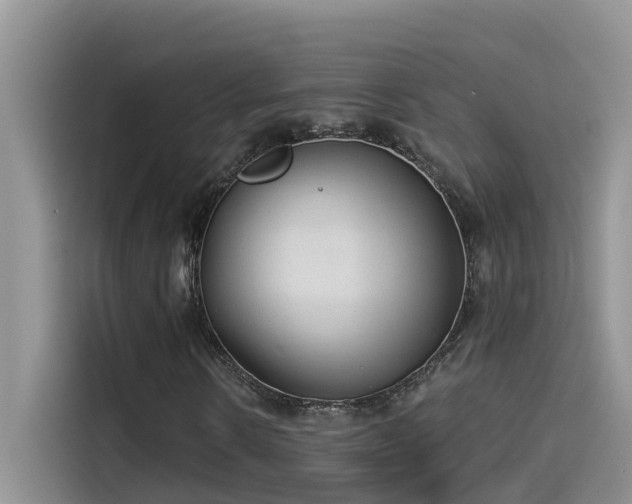 X0000114490914200910191228