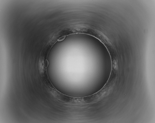 X0000114490915200910191228