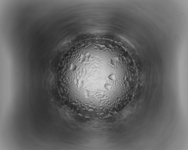 X0000114490917200910191228