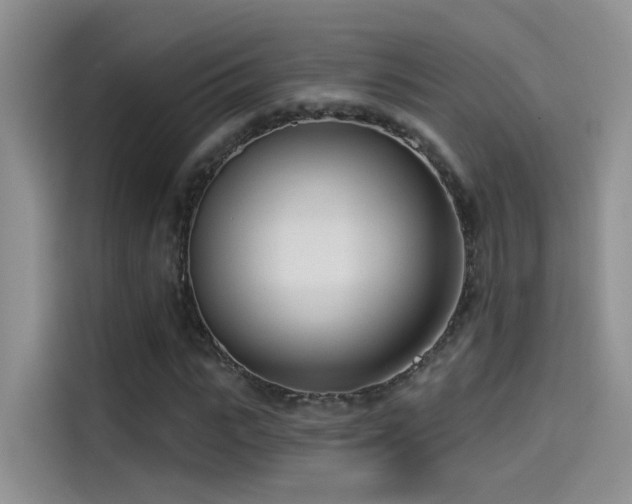 X0000114490919200910191228