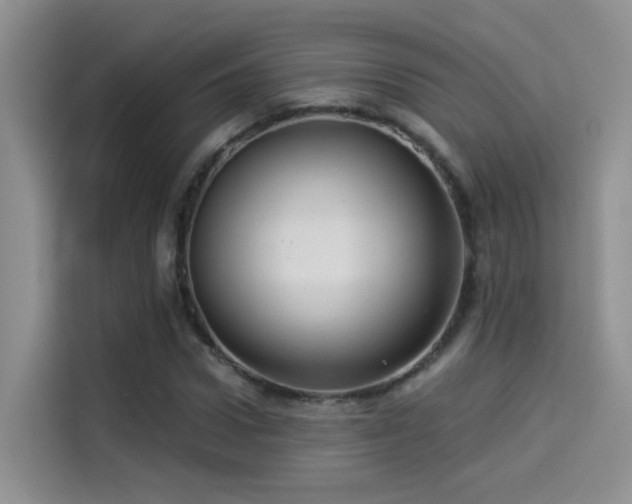 X0000114490922200910191228
