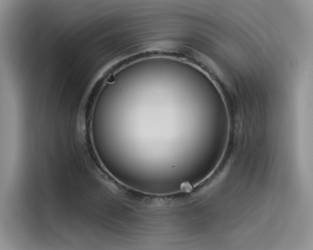 X0000114490923200910191228