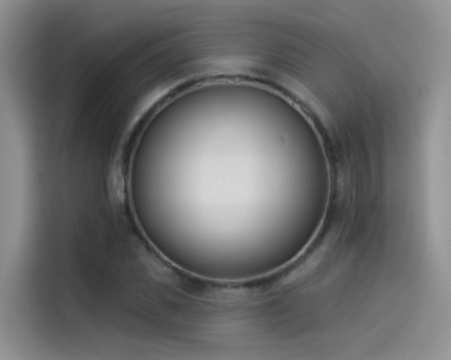 X0000114490925200910191228