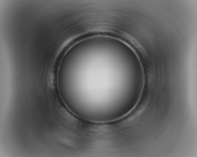 X0000114490926200910191228
