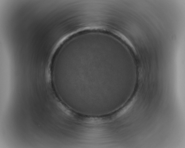 X0000114490927200910191228