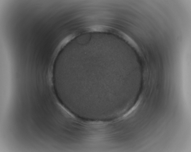 X0000114490930200910191228