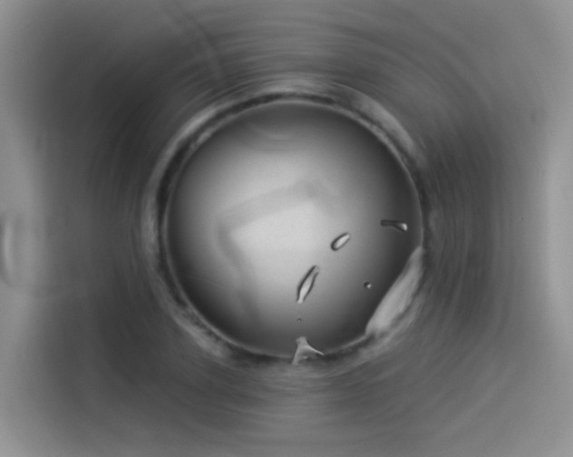X0000114490931200910191228