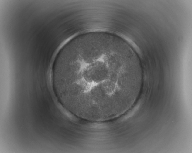 X0000114490933200910191228