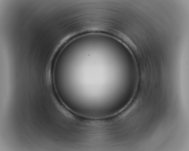 X0000114490934200910191228