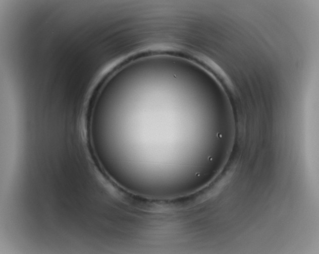 X0000114490935200910191228