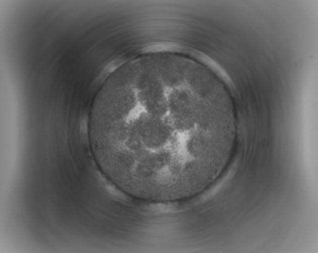 X0000114490937200910191228