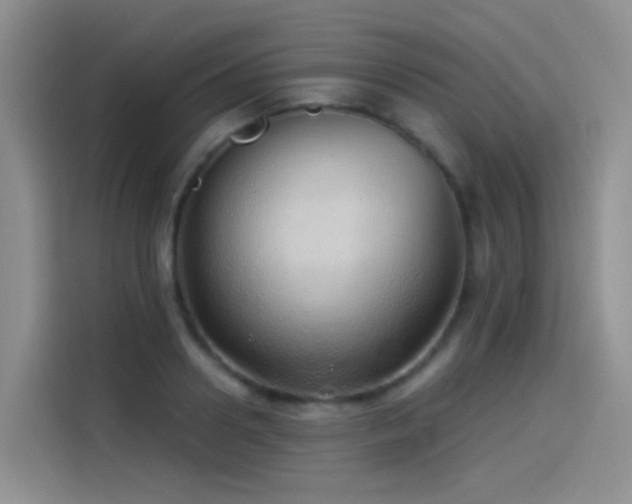 X0000114490938200910191228