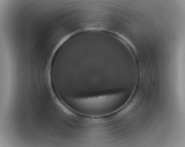 X0000114490941200910191228