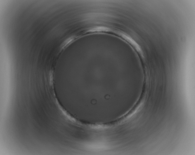 X0000114490945200910191228