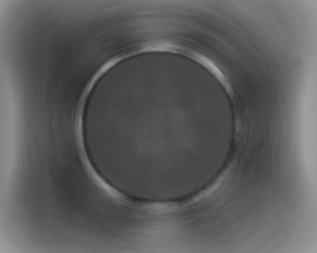 X0000114490947200910191228