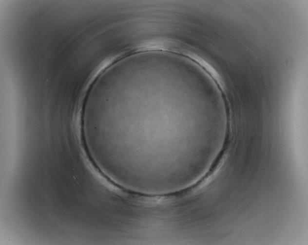X0000114490949200910191228