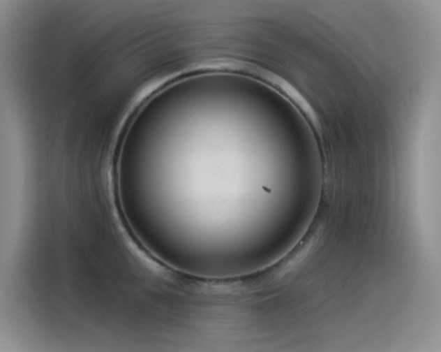 X0000114490951200910191228
