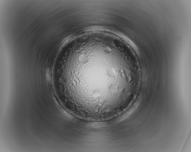 X0000114490953200910191228
