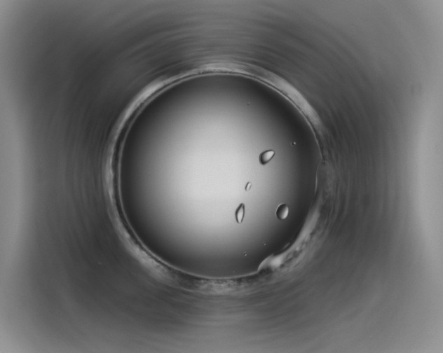 X0000114490955200910191228