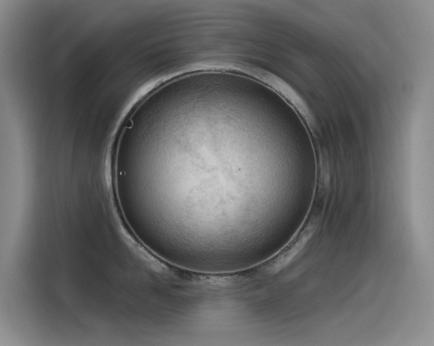 X0000114490958200910191228