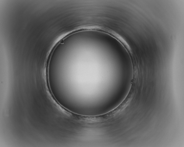 X0000114490959200910191228
