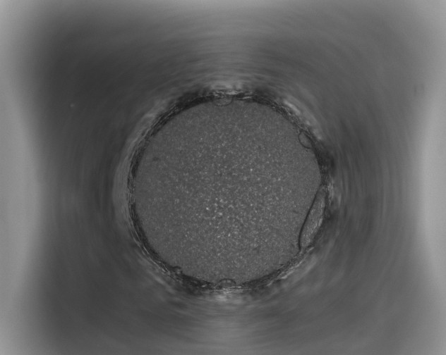 X0000114490961200910191228