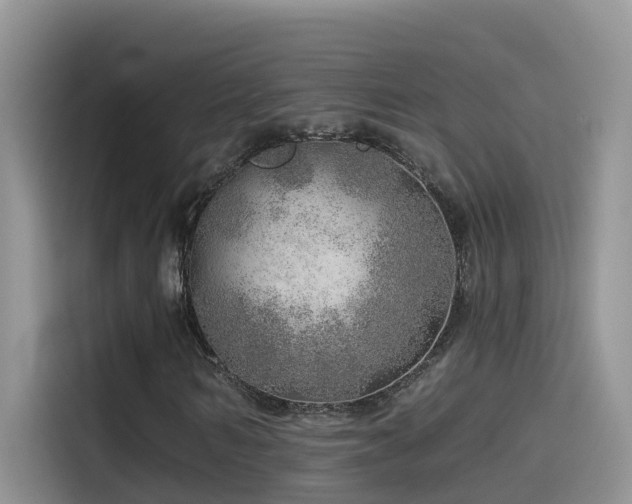 X0000114490962200910191228