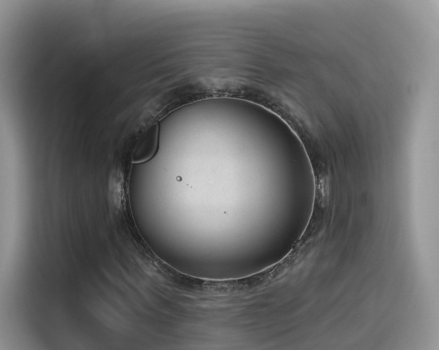 X0000114490963200910191228