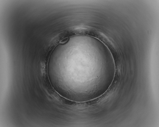 X0000114490964200910191228