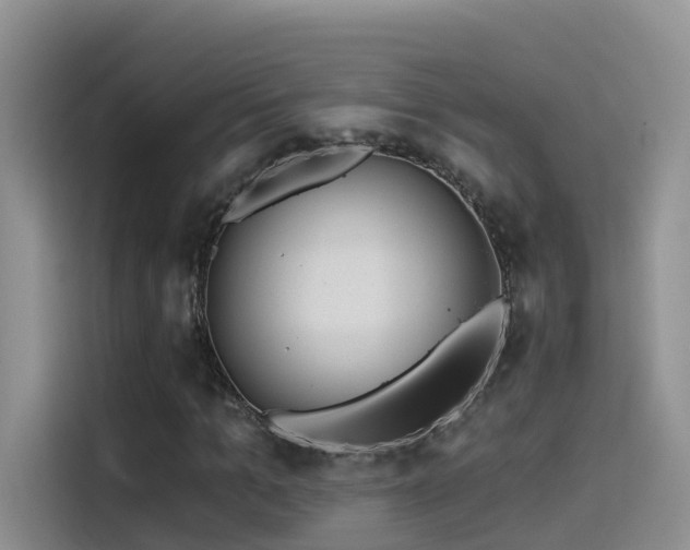 X0000114490965200910191228