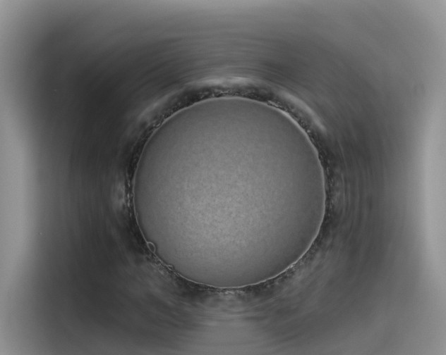 X0000114490966200910191227