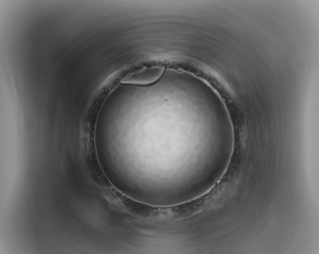 X0000114490968200910191227