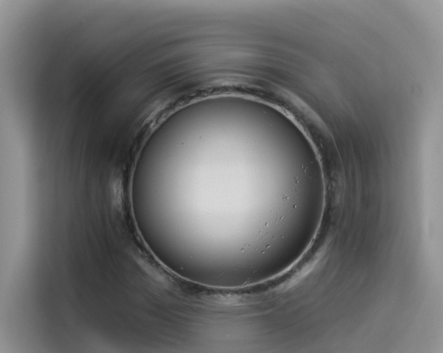 X0000114490969200910191227