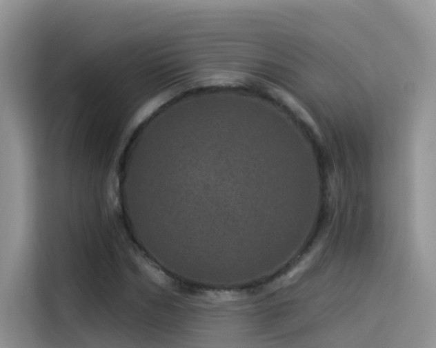 X0000114490970200910191227