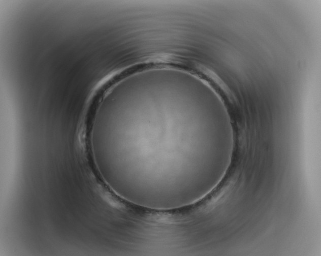 X0000114490971200910191227