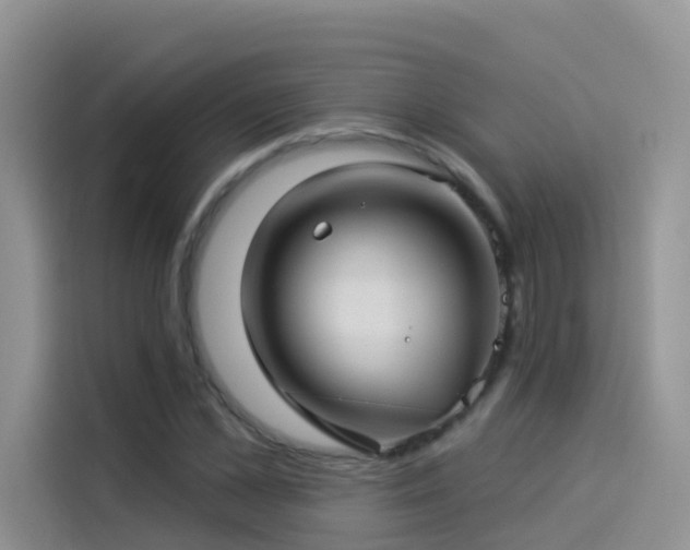 X0000114490973200910191227