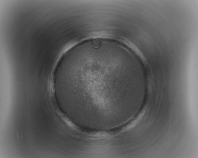 X0000114490974200910191227