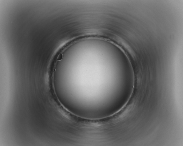 X0000114490975200910191227